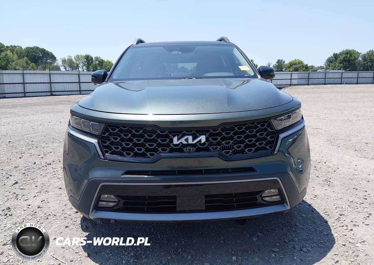 2023 Kia Sorento X-Line Sx Prestige VIN:5XYRKDLF4PG196702 - 12