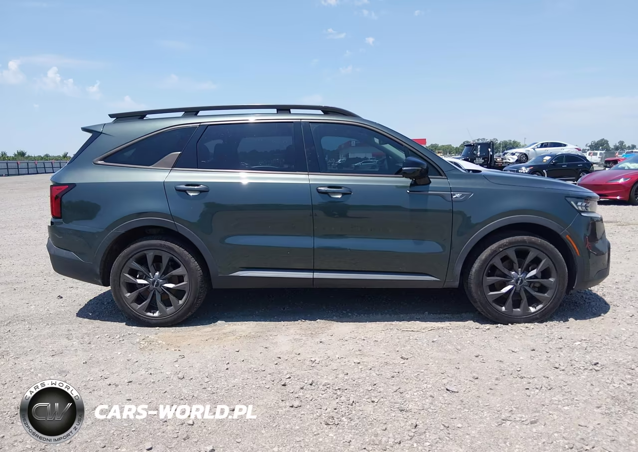 2023 Kia Sorento X-Line Sx Prestige VIN:5XYRKDLF4PG196702 - 13