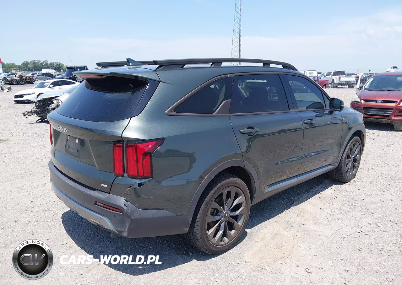 2023 Kia Sorento X-Line Sx Prestige VIN:5XYRKDLF4PG196702 - 4