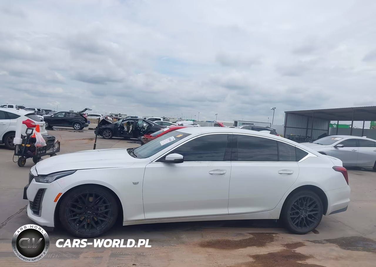 2023 Cadillac Ct5 Premium Luxury VIN:1G6DN5RK3P0130078 - 15