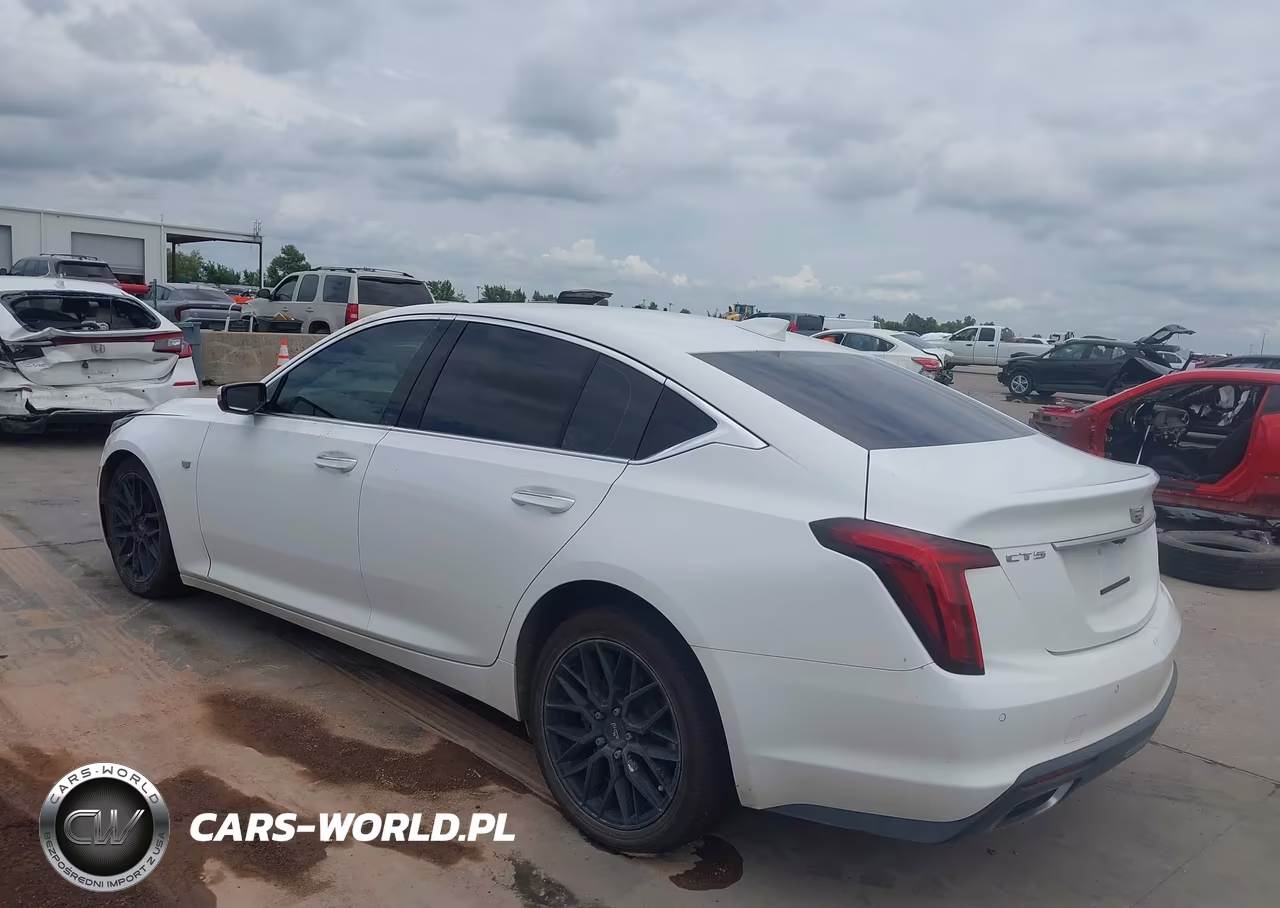 2023 Cadillac Ct5 Premium Luxury VIN:1G6DN5RK3P0130078 - 3