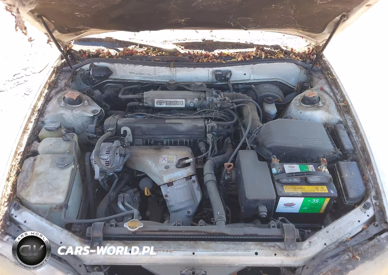 1992 Toyota Camry Dlx VIN:JT2SK11E6N0025746 - 10