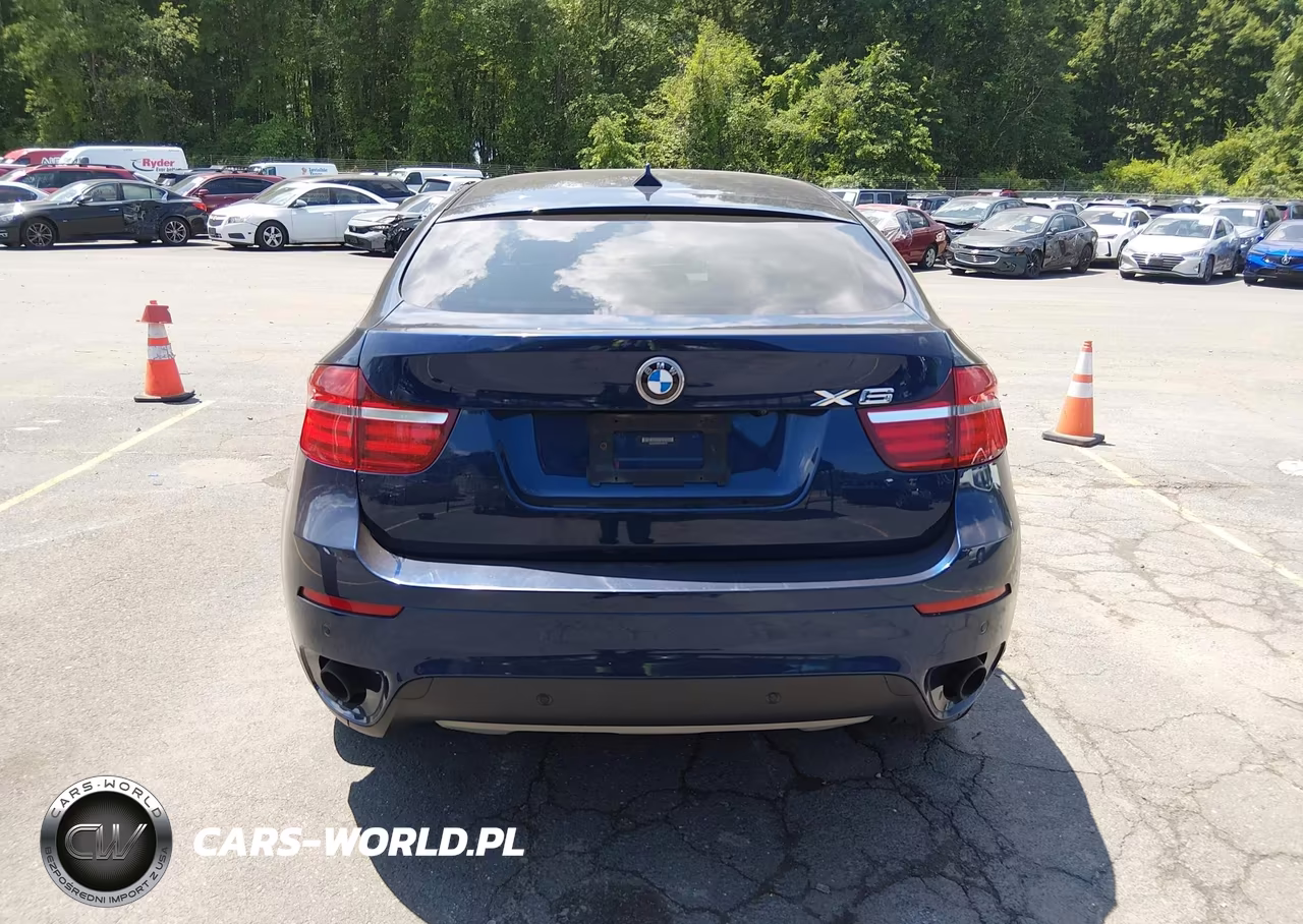 2014 BMW X6 VIN:5UXFG2C58E0H09776 - 16