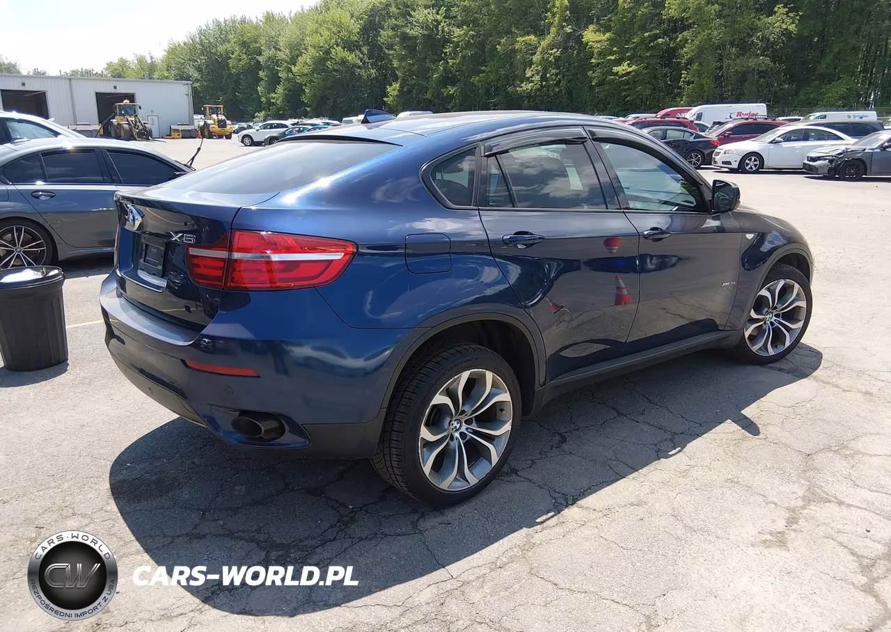 2014 BMW X6 VIN:5UXFG2C58E0H09776 - 4