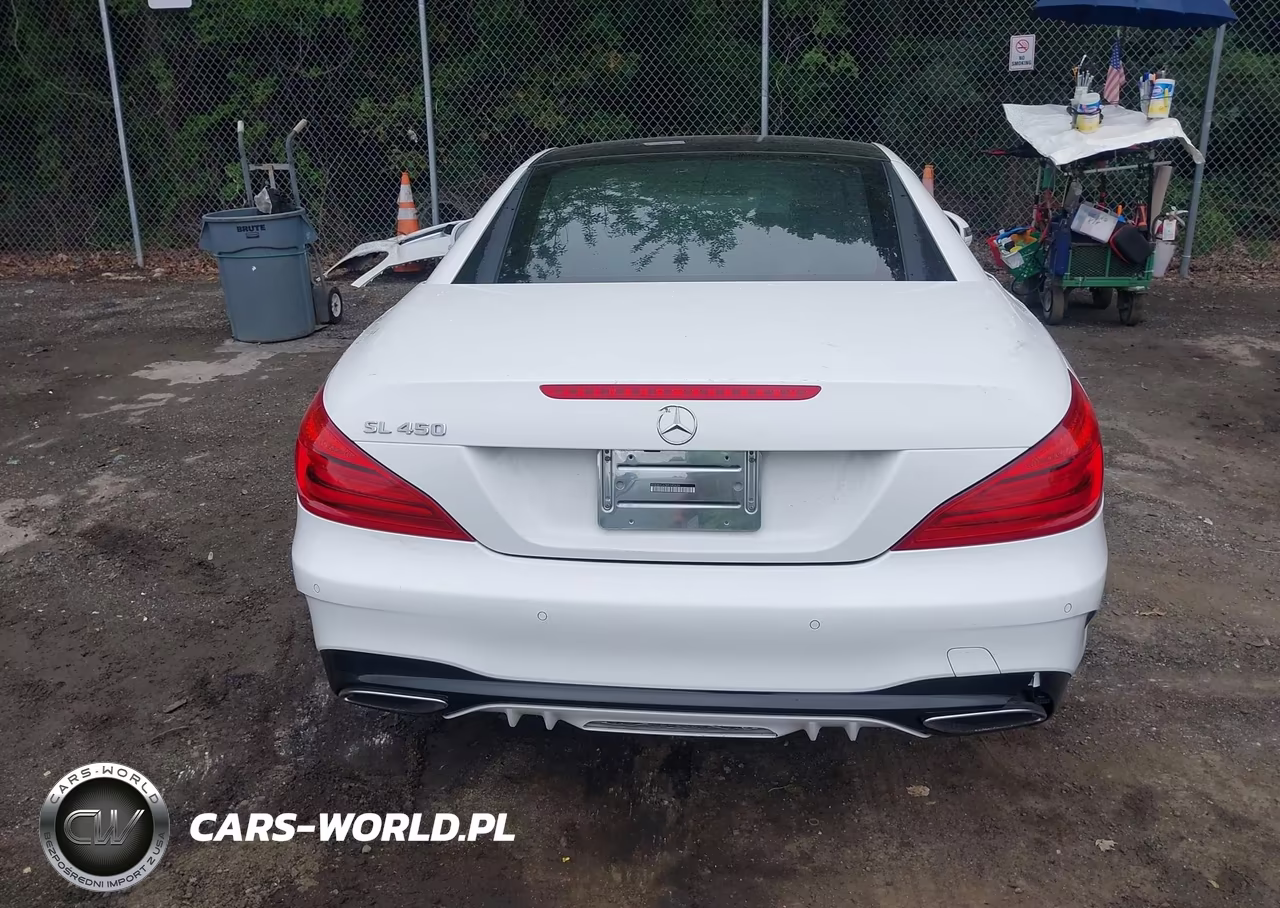 2017 Mercedes-Benz Sl 450 VIN:WDDJK6GA3HF045626 - 16