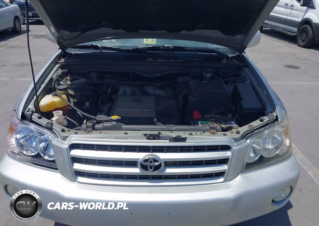 2001 Toyota Highlander V6 VIN:JTEGF21A510022993 - 10