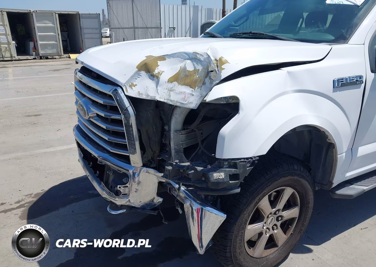 2017 Ford F-150 Xlt VIN:1FTEW1EF0HKD19535 - 6