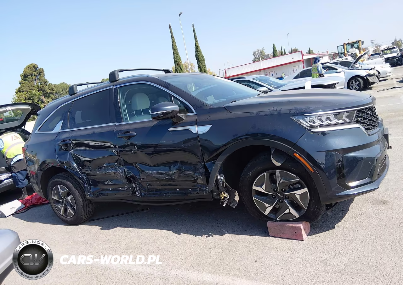 2023 Kia Sorento Hybrid Ex VIN:KNDRH4LG9P5163243 - 13