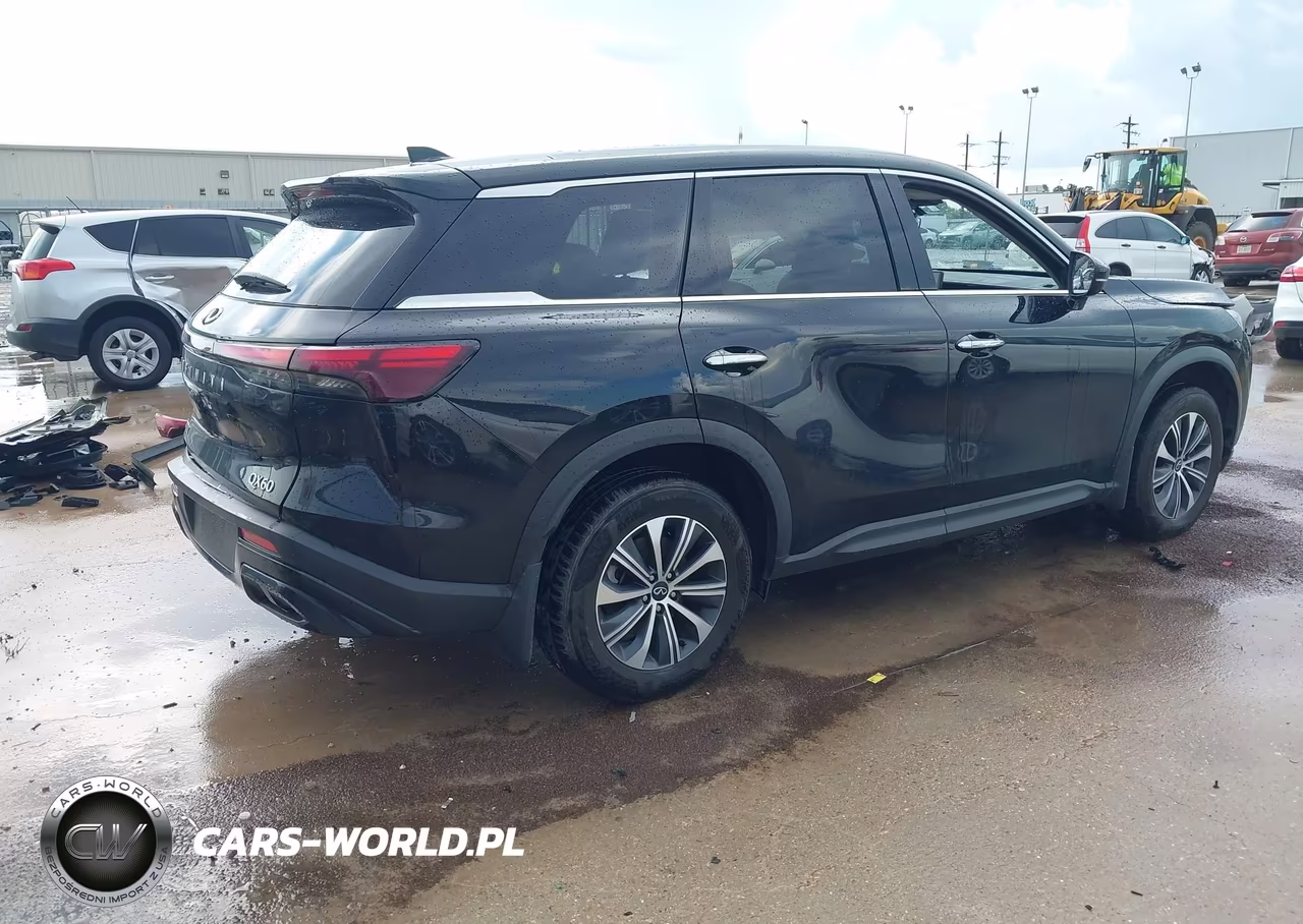 2024 Infiniti Qx60 Pure VIN:5N1DL1ER5RC357283 - 4