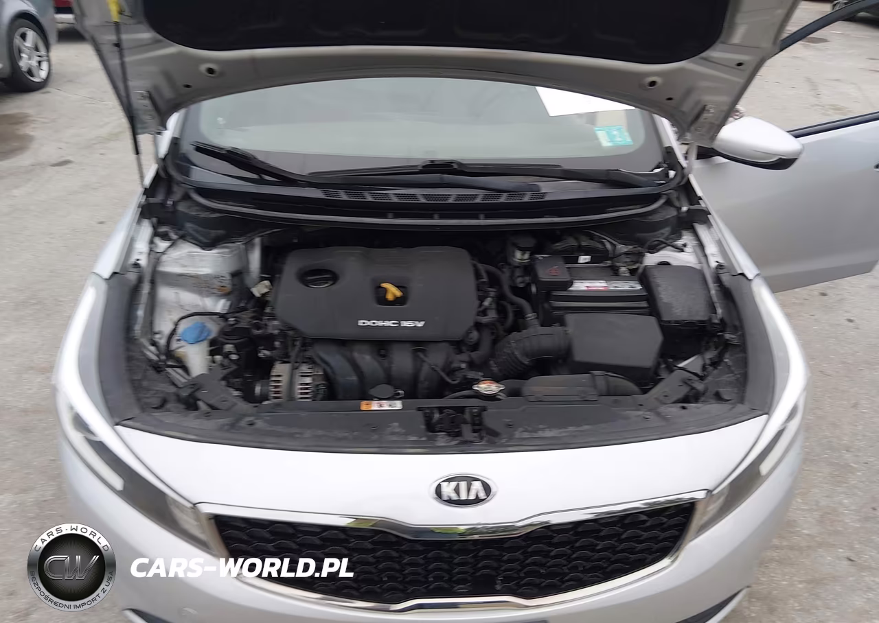 2017 Kia Forte Lx VIN:3KPFK4A79HE006776 - 10
