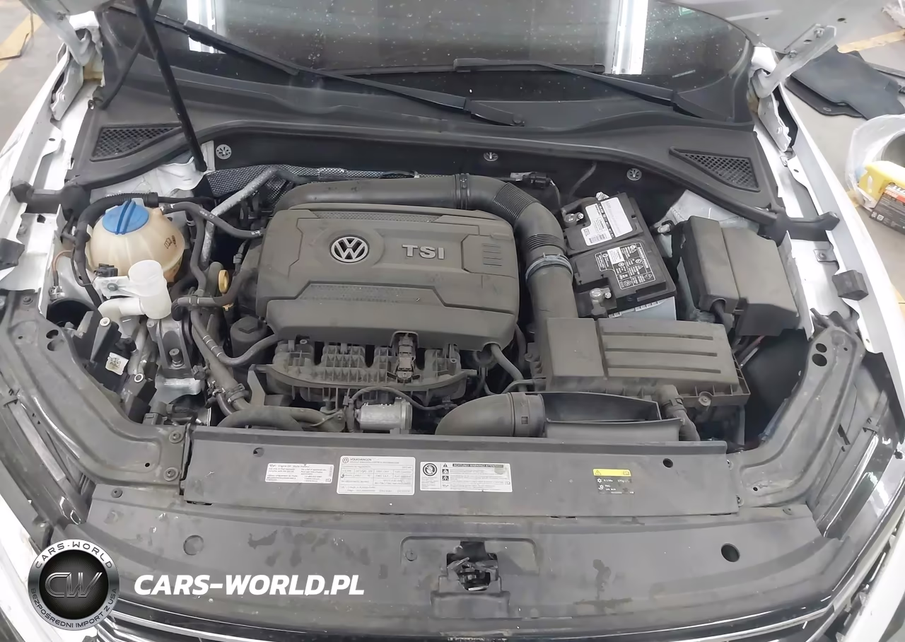 2017 Volkswagen Passat 1.8T R-Line VIN:1VWDT7A31HC065019 - 10