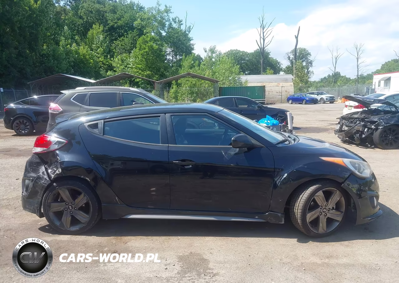 2014 Hyundai Veloster Turbo W-Black VIN:KMHTC6AE3EU199803 - 13