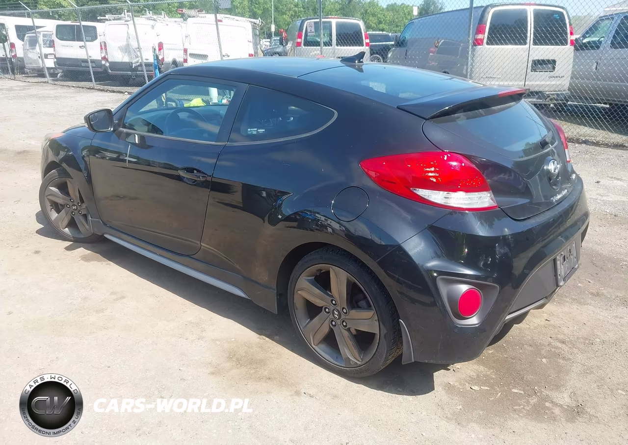 2014 Hyundai Veloster Turbo W-Black VIN:KMHTC6AE3EU199803 - 3