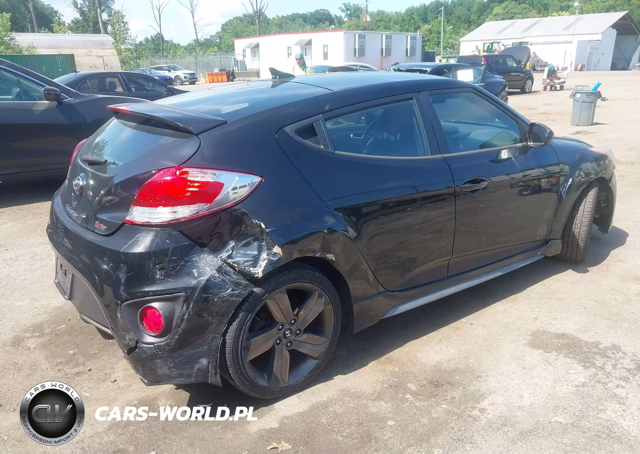 2014 Hyundai Veloster Turbo W-Black VIN:KMHTC6AE3EU199803 - 4