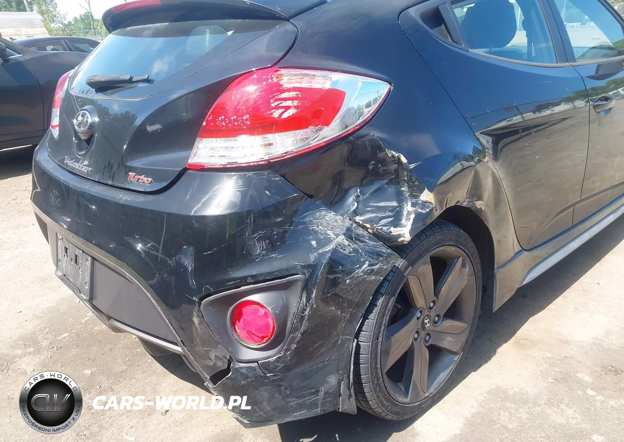 2014 Hyundai Veloster Turbo W-Black VIN:KMHTC6AE3EU199803 - 6