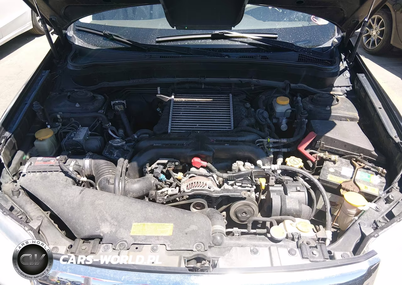 2010 Subaru Forester 2.5Xt Limited VIN:JF2SH6FCXAH753223 - 10
