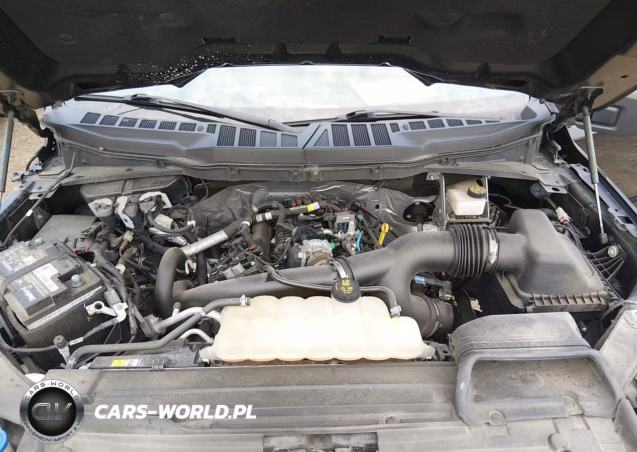 2021 Ford F-150 Xlt VIN:1FTEW1CP5MFD13129 - 10