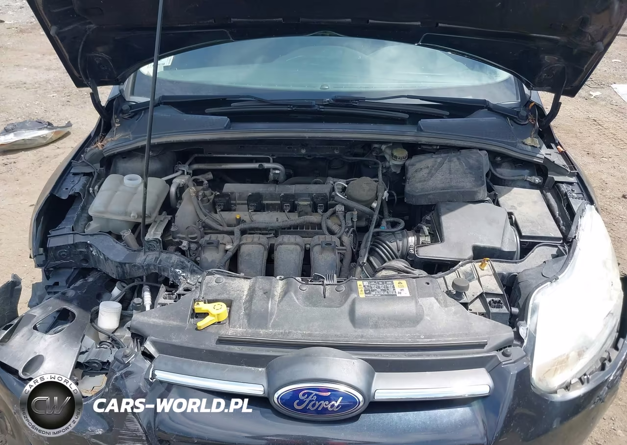 2014 Ford Focus Se VIN:1FADP3K29EL415598 - 10