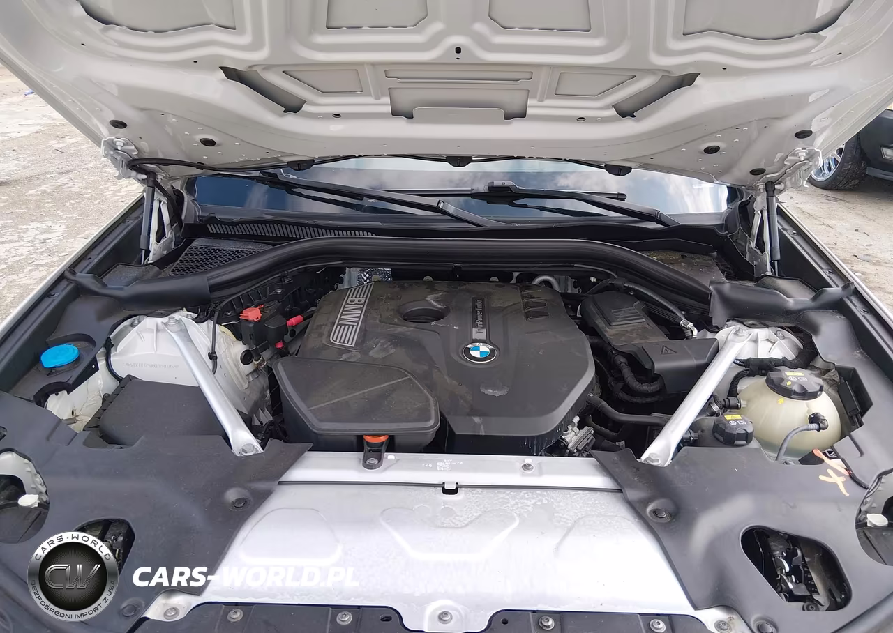 2019 BMW X3 Sdrive30I VIN:5UXTR7C5XKLR50305 - 10