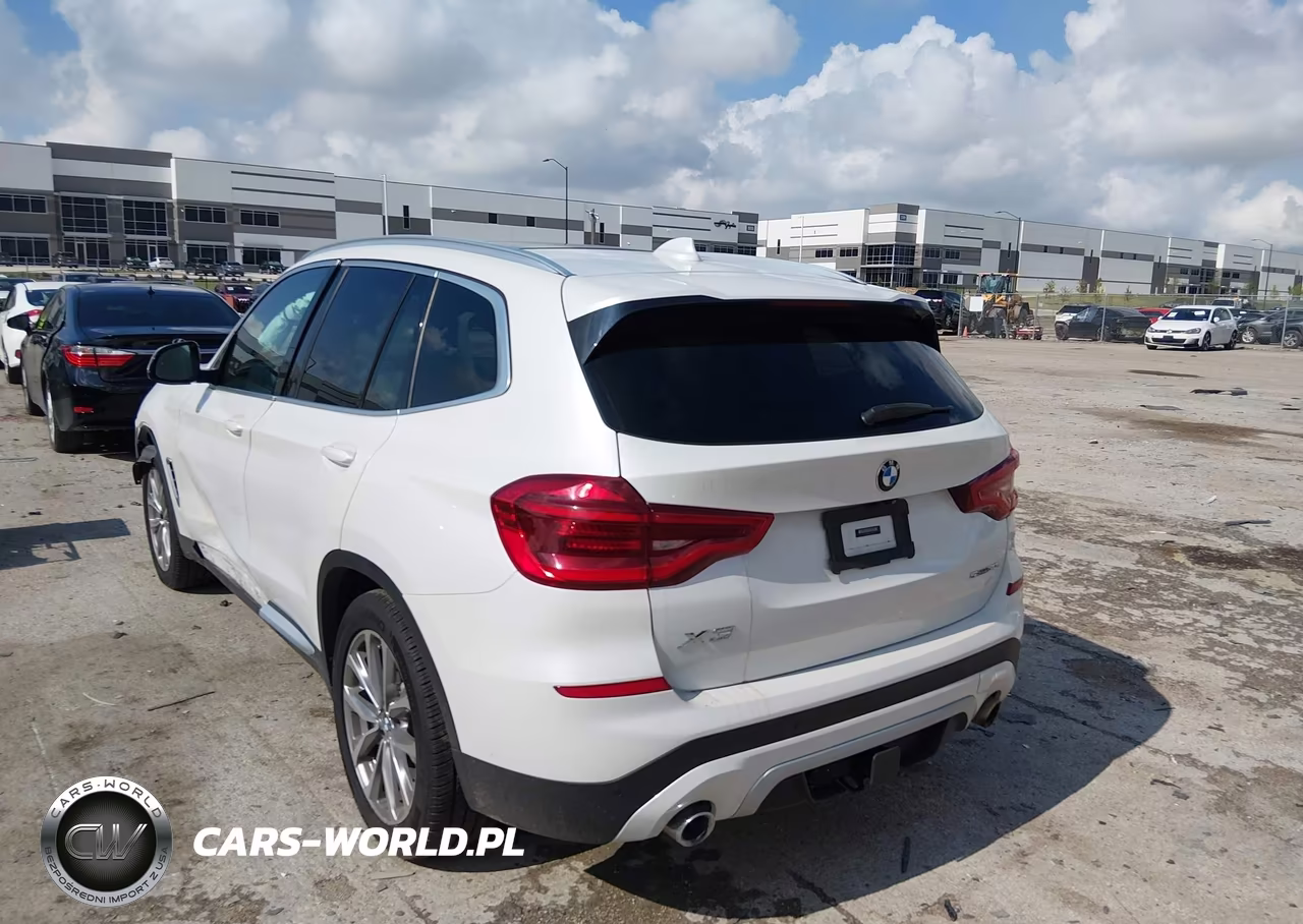 2019 BMW X3 Sdrive30I VIN:5UXTR7C5XKLR50305 - 3