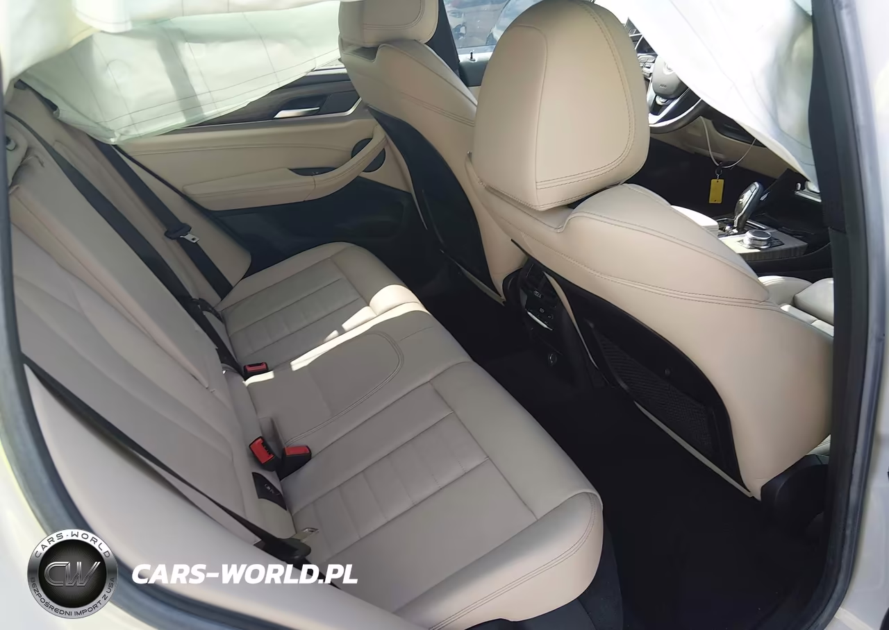 2019 BMW X3 Sdrive30I VIN:5UXTR7C5XKLR50305 - 8