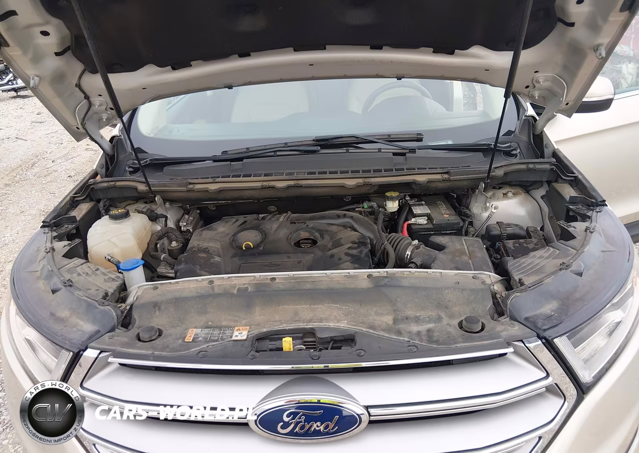2018 Ford Edge Sel VIN:2FMPK3J91JBB09991 - 10