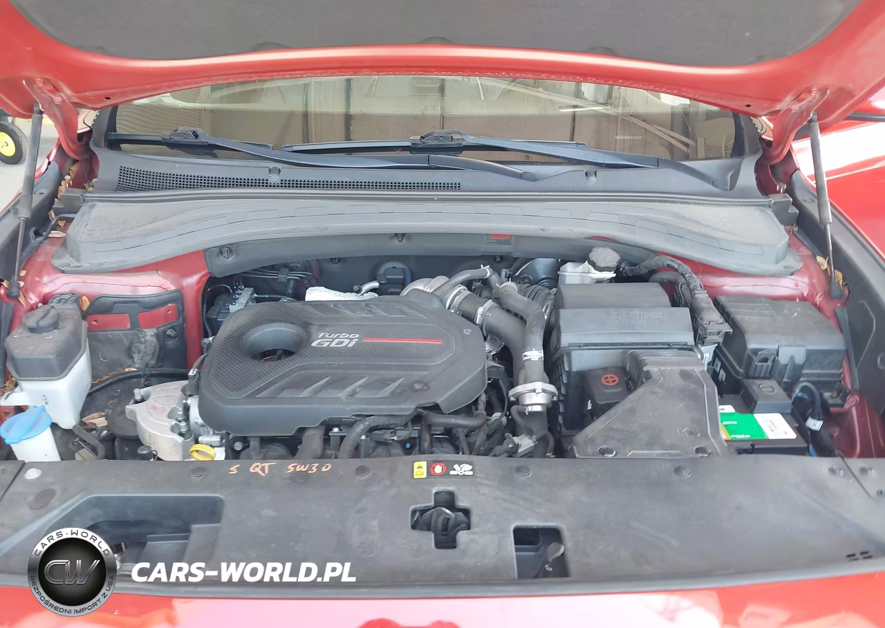 2020 Hyundai Santa Fe Limited 2.0T VIN:5NMS53AA6LH216748 - 10