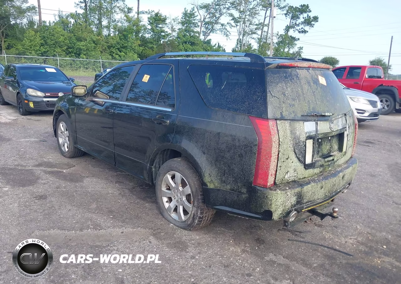 2009 Cadillac Srx V6 VIN:1GYEE637490137632 - 3
