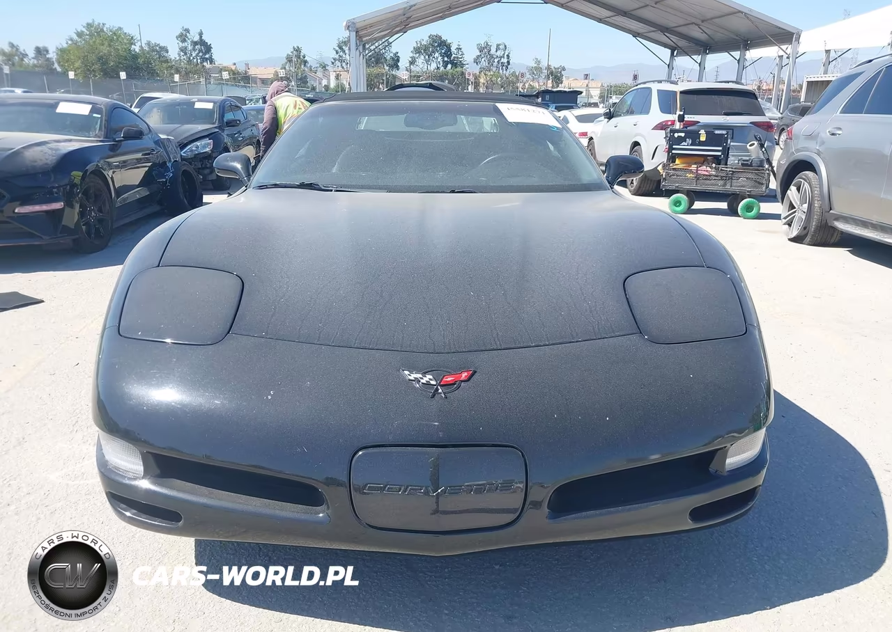2004 Chevrolet Corvette VIN:1G1YY32G445129867 - 12