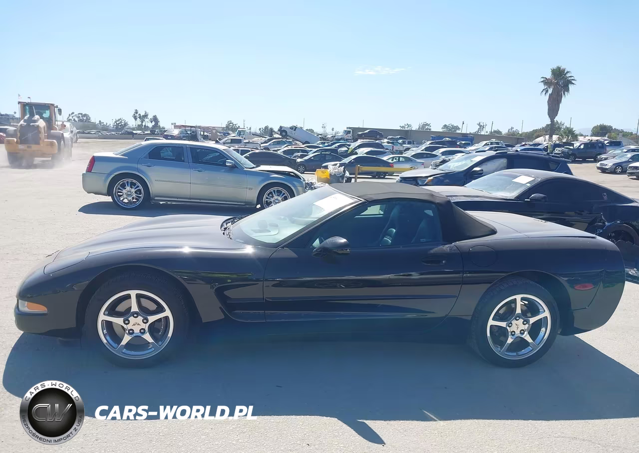 2004 Chevrolet Corvette VIN:1G1YY32G445129867 - 14
