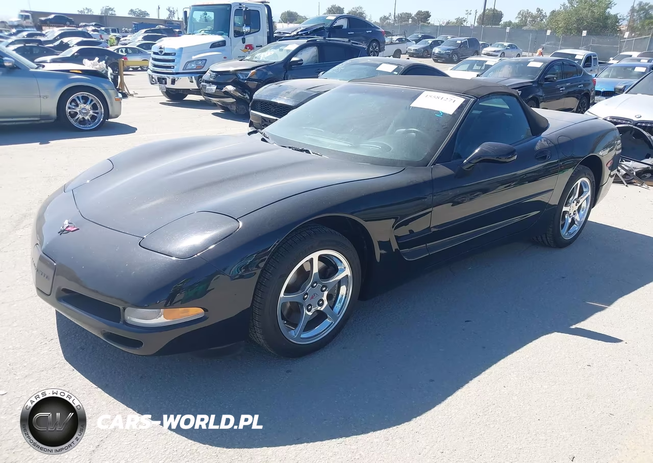 2004 Chevrolet Corvette VIN:1G1YY32G445129867 - 2