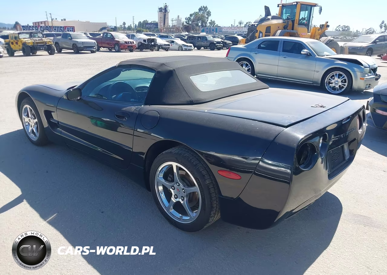 2004 Chevrolet Corvette VIN:1G1YY32G445129867 - 3