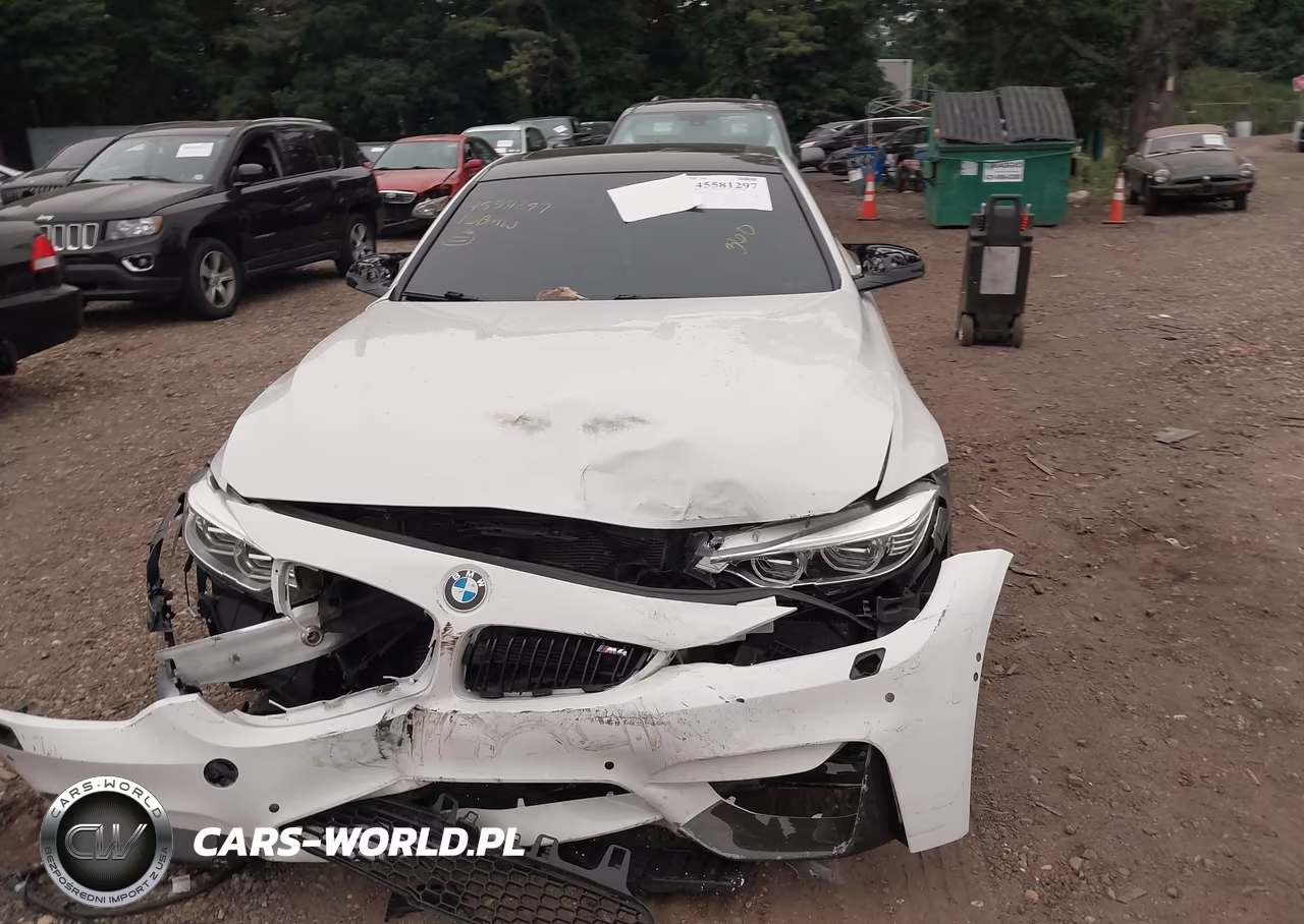 2016 BMW M4 VIN:WBS3R9C56GK338153 - 12