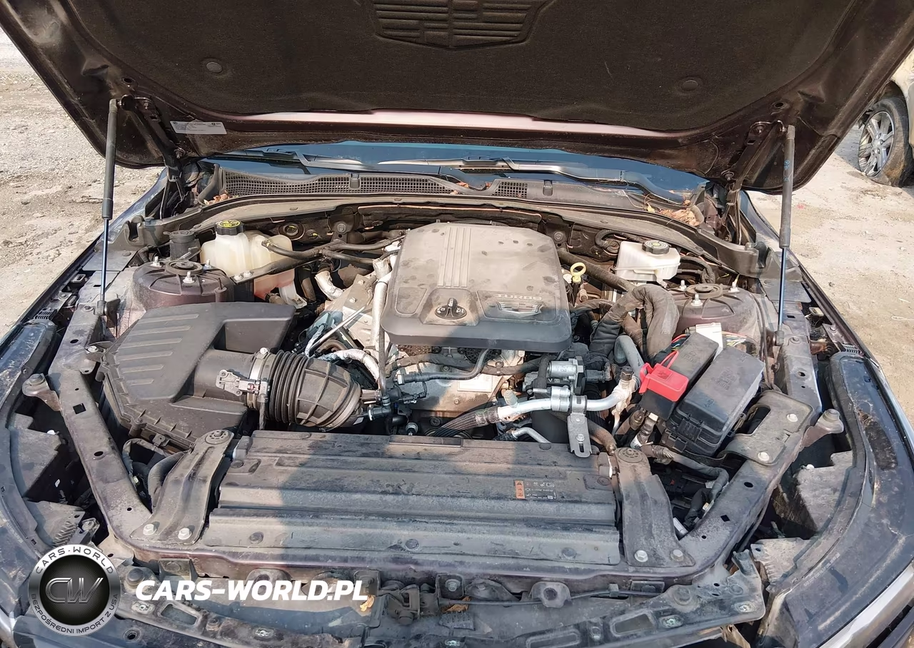 2020 Cadillac Ct4 Premium Luxury VIN:1G6DF5RK1L0140826 - 10