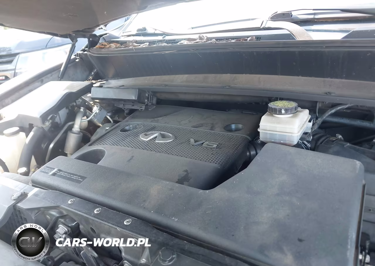 2015 Infiniti Qx60 VIN:5N1AL0MN5FC511210 - 10