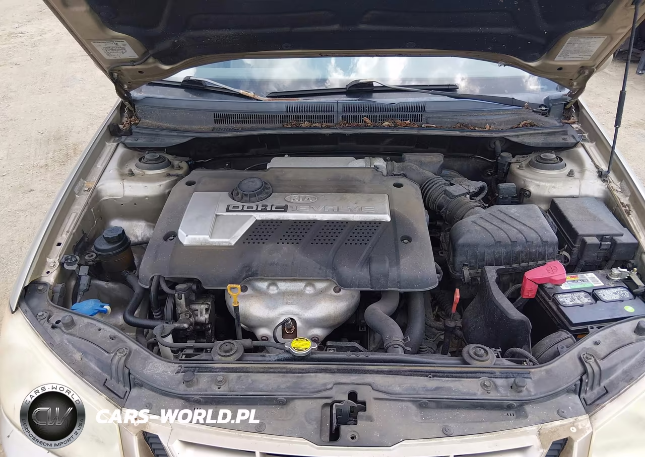 2006 Kia Spectra Ex-Lx-Sx VIN:KNAFE121765270133 - 10
