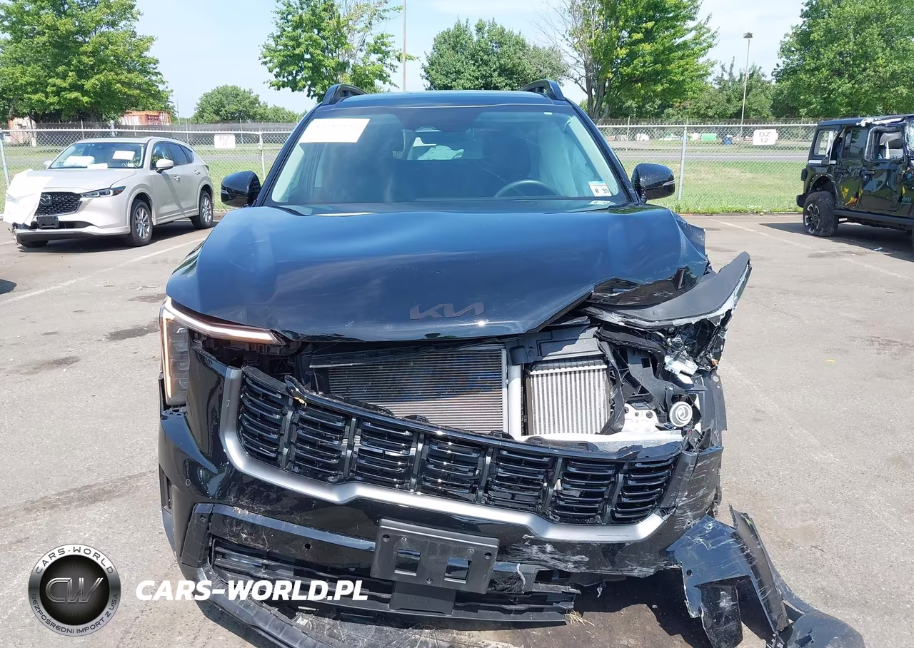 2025 Kia Sorento X-Line Ex VIN:5XYRHDJF0SG395465 - 12