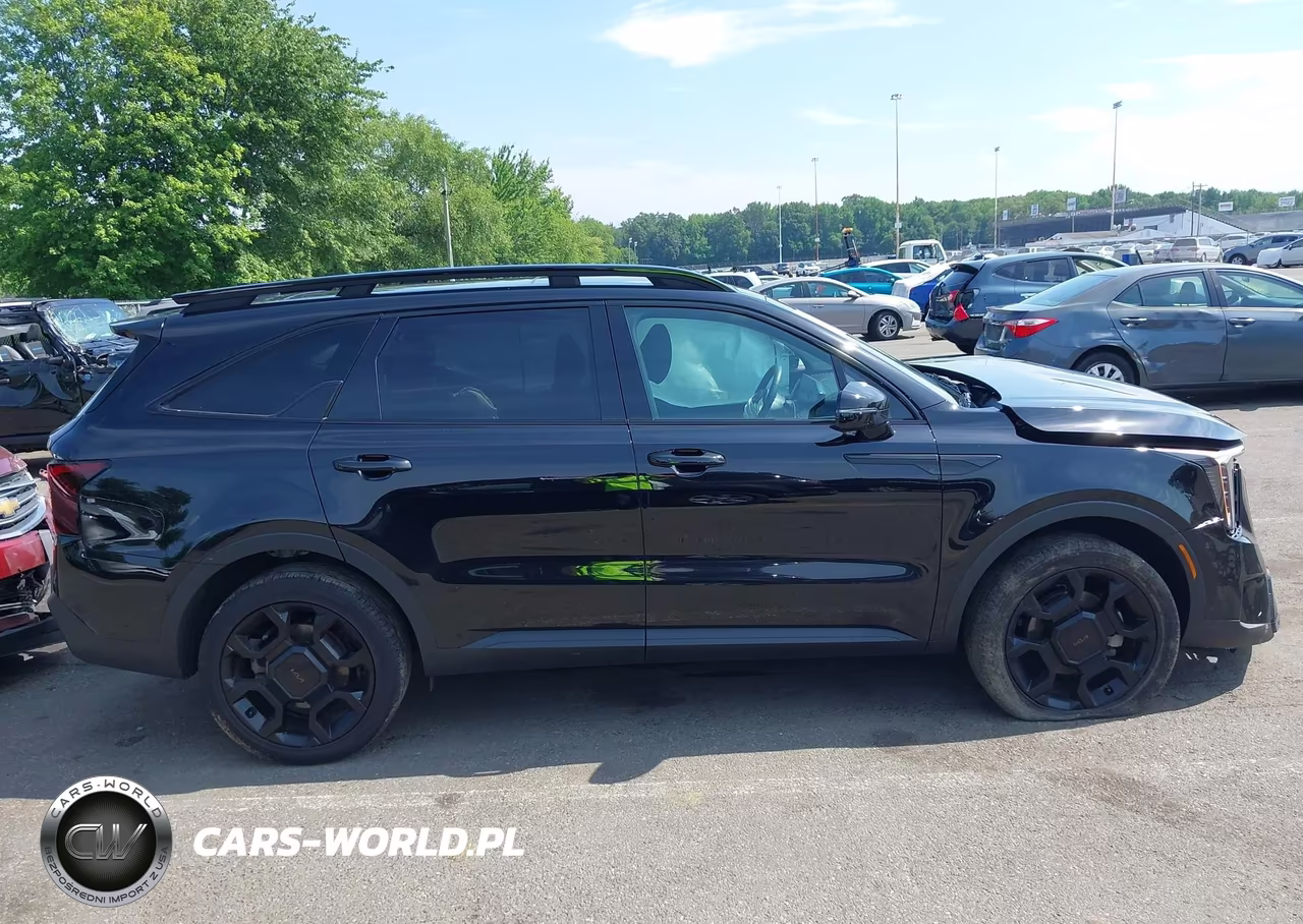 2025 Kia Sorento X-Line Ex VIN:5XYRHDJF0SG395465 - 13