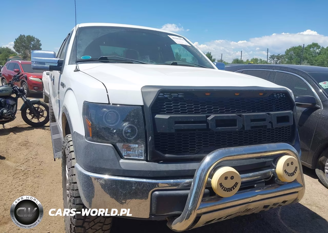 2010 Ford F-150 Xl-Xlt