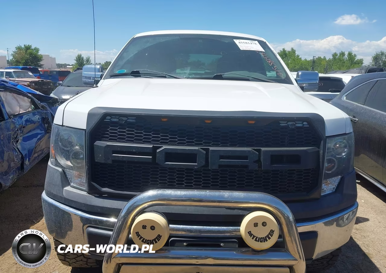 2010 Ford F-150 Xl-Xlt VIN:1FTFW1E82AFC37097 - 12