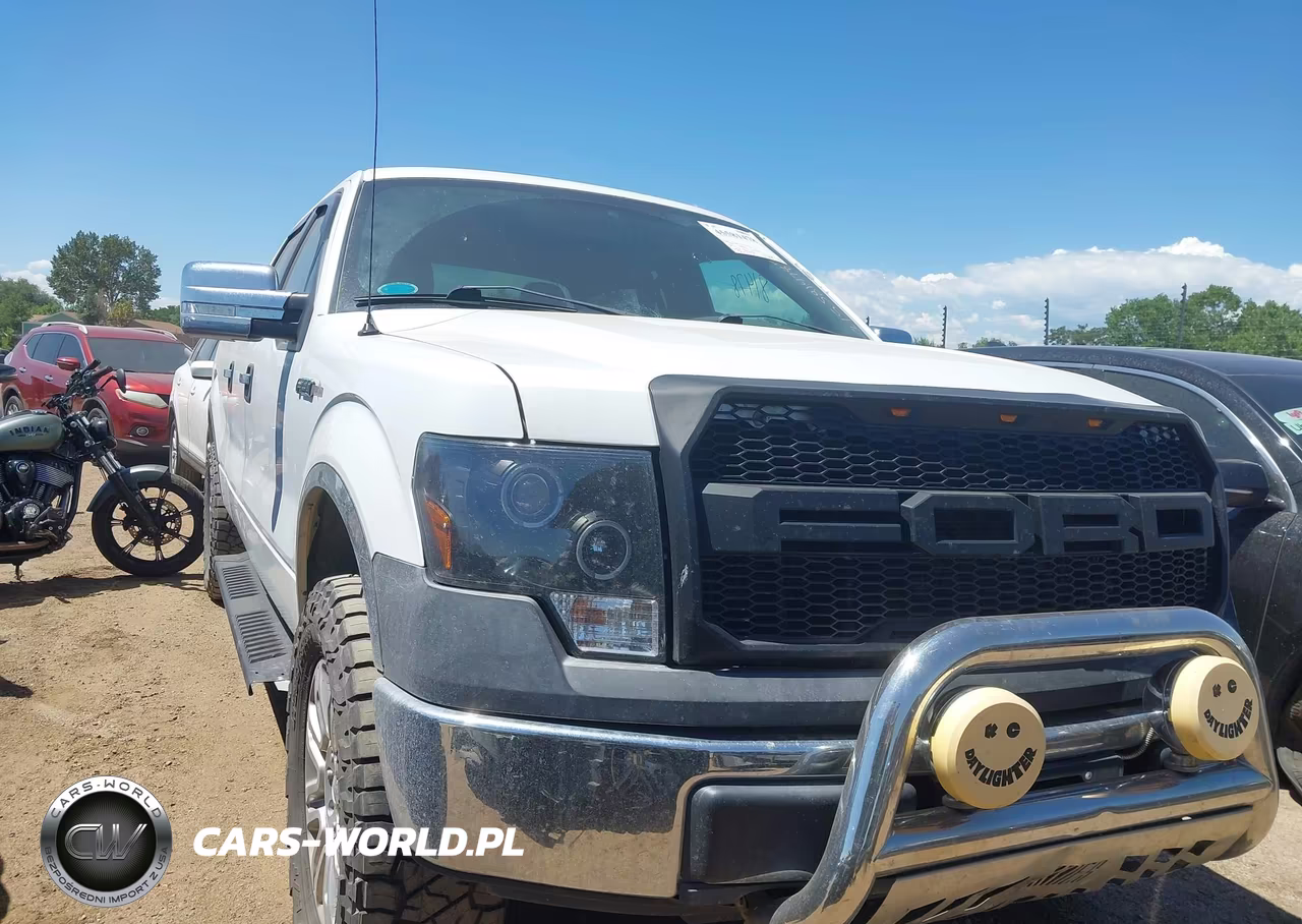 2010 Ford F-150 Xl-Xlt VIN:1FTFW1E82AFC37097 - 13