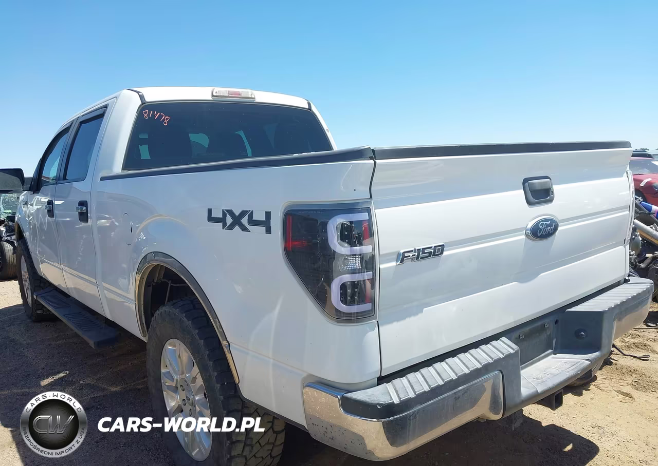 2010 Ford F-150 Xl-Xlt VIN:1FTFW1E82AFC37097 - 14