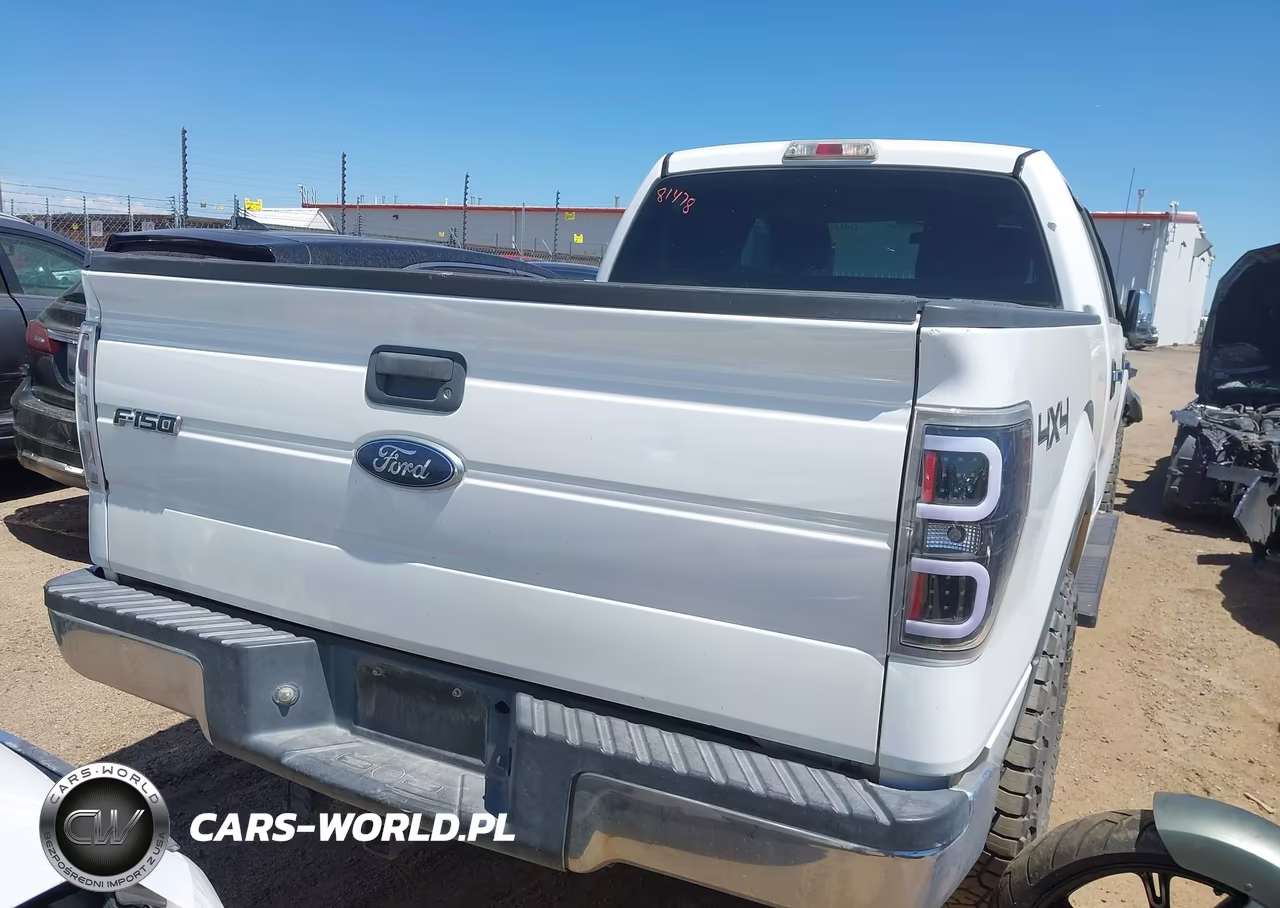 2010 Ford F-150 Xl-Xlt VIN:1FTFW1E82AFC37097 - 16