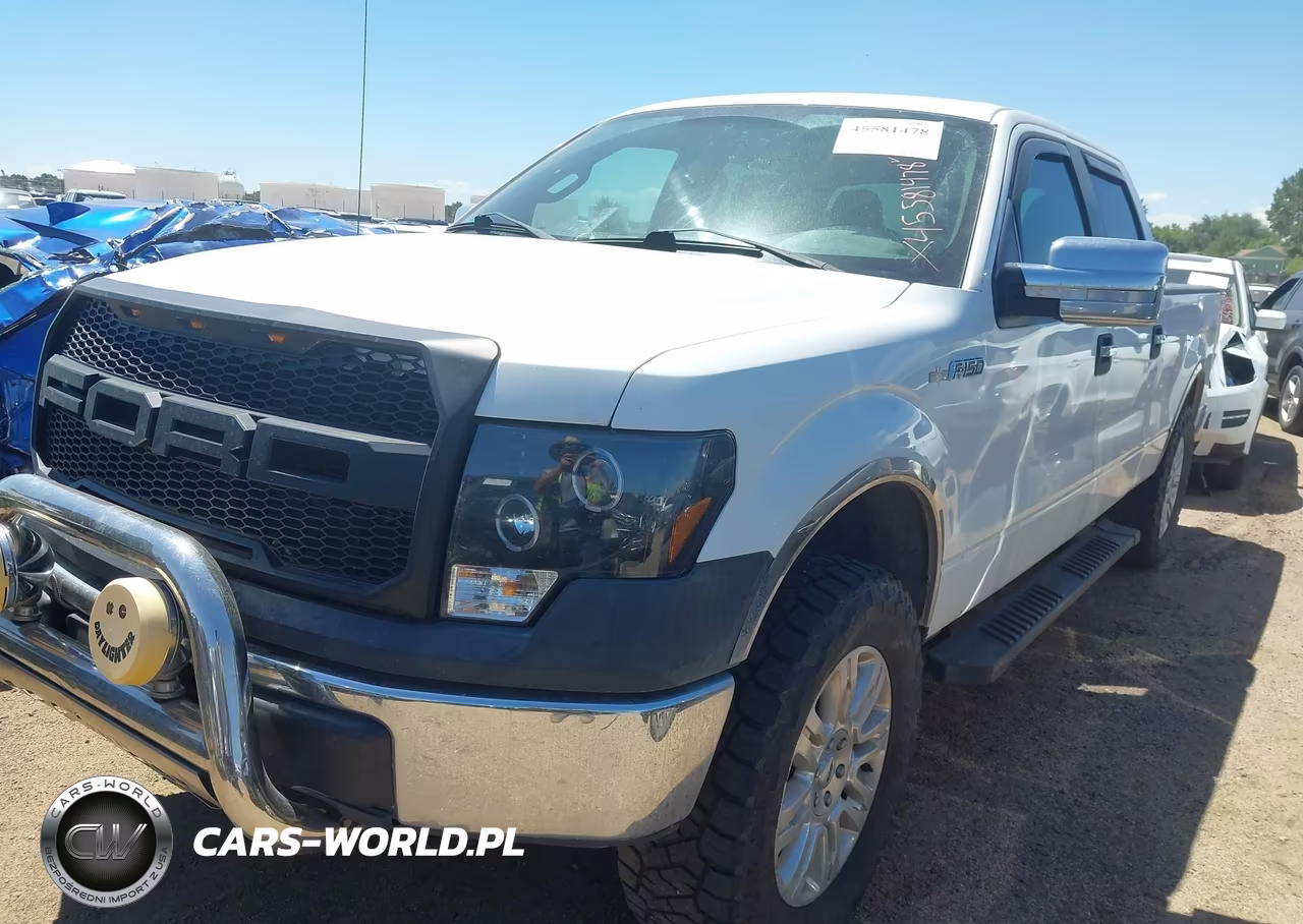 2010 Ford F-150 Xl-Xlt VIN:1FTFW1E82AFC37097 - 2
