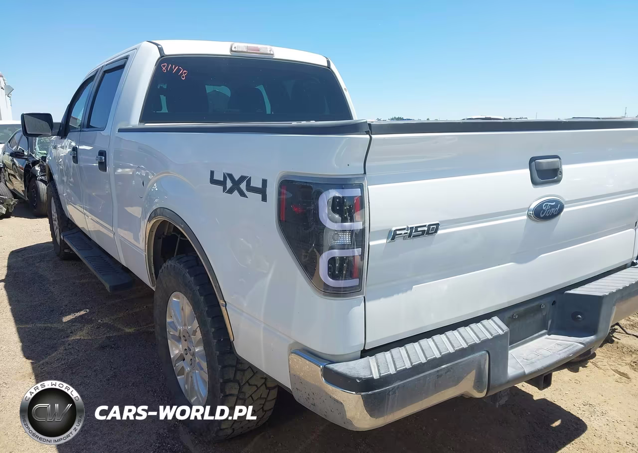 2010 Ford F-150 Xl-Xlt VIN:1FTFW1E82AFC37097 - 3