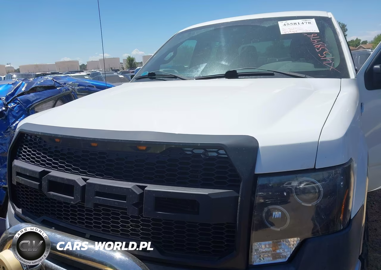 2010 Ford F-150 Xl-Xlt VIN:1FTFW1E82AFC37097 - 6