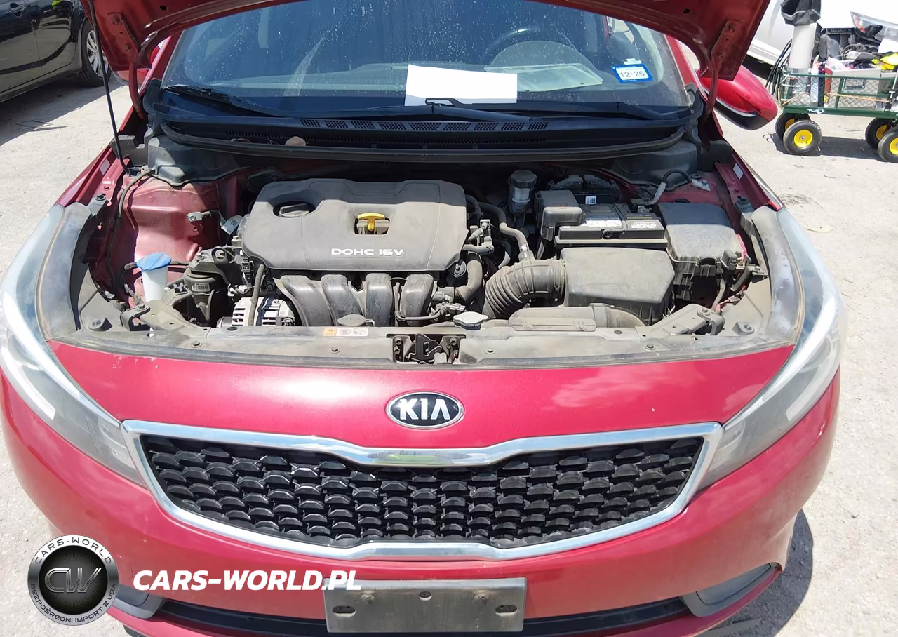 2018 Kia Forte S VIN:3KPFL4A79JE279445 - 10