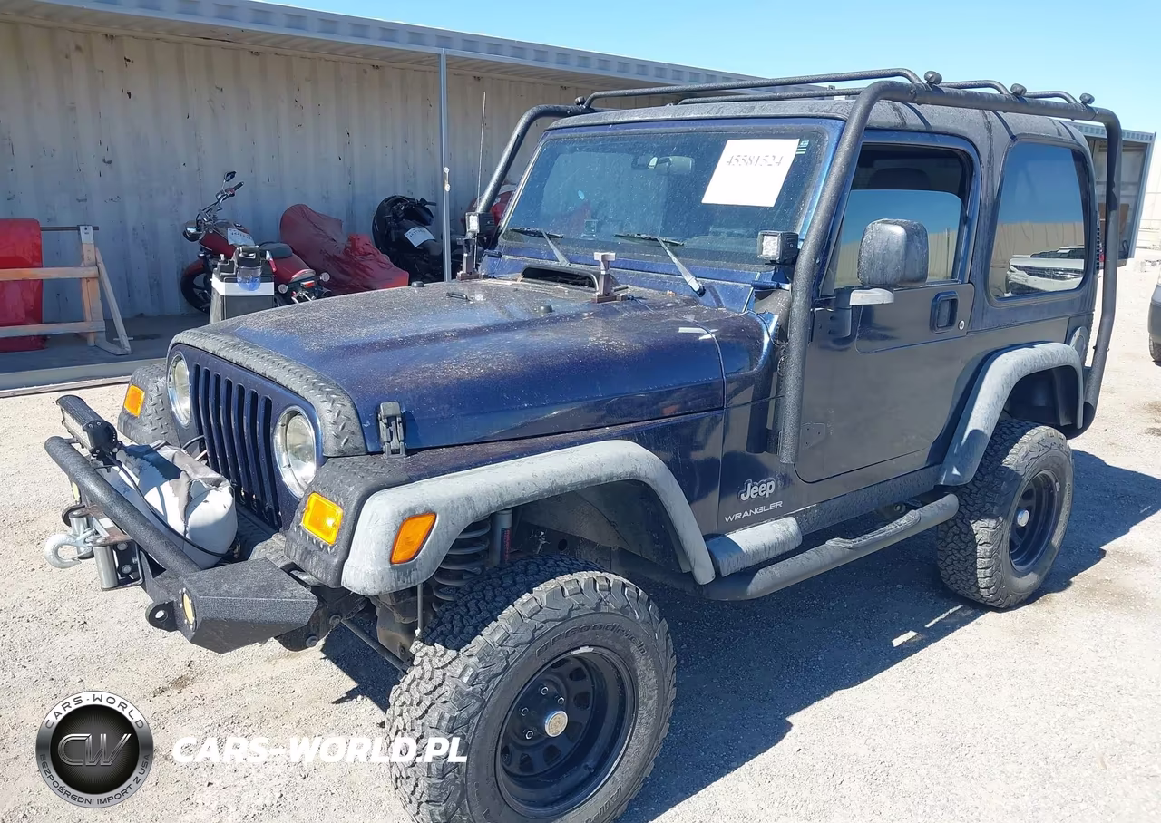 2004 Jeep Wrangler X VIN:1J4FA39S24P791698 - 2