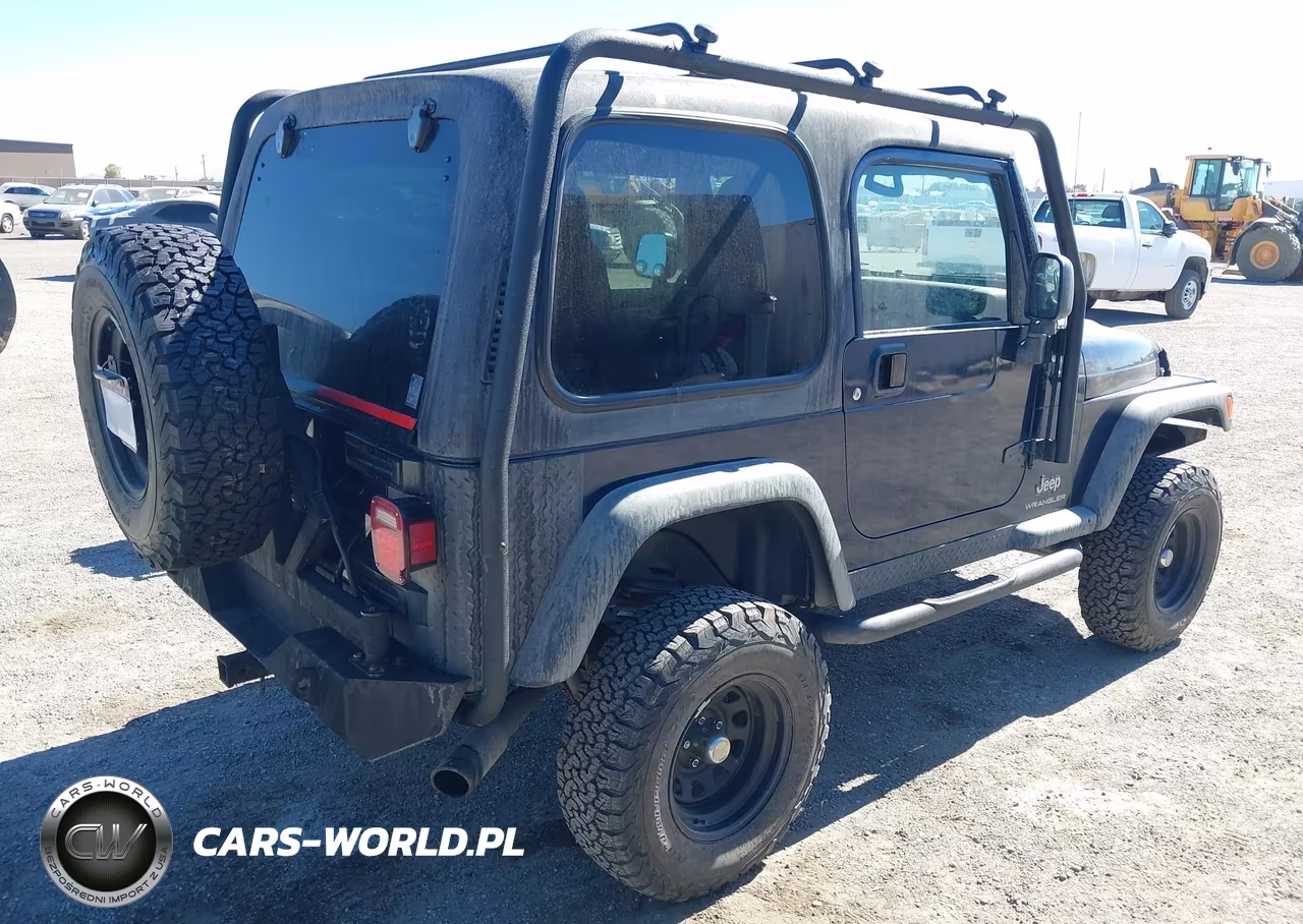 2004 Jeep Wrangler X VIN:1J4FA39S24P791698 - 4