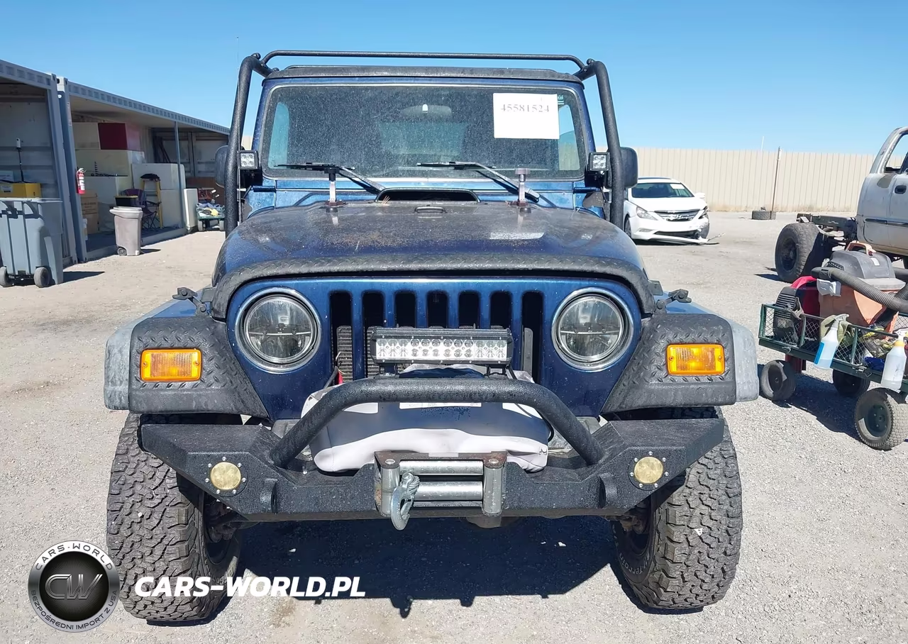 2004 Jeep Wrangler X VIN:1J4FA39S24P791698 - 6